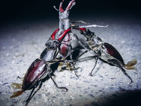 Comment activer le mode avion automatiquement pendant la nuit sur un Samsung Galaxy Note 30 ?